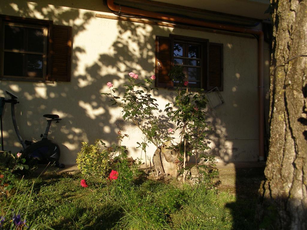 Bed And Breakfast Casale Isorella San Gemini Exterior photo