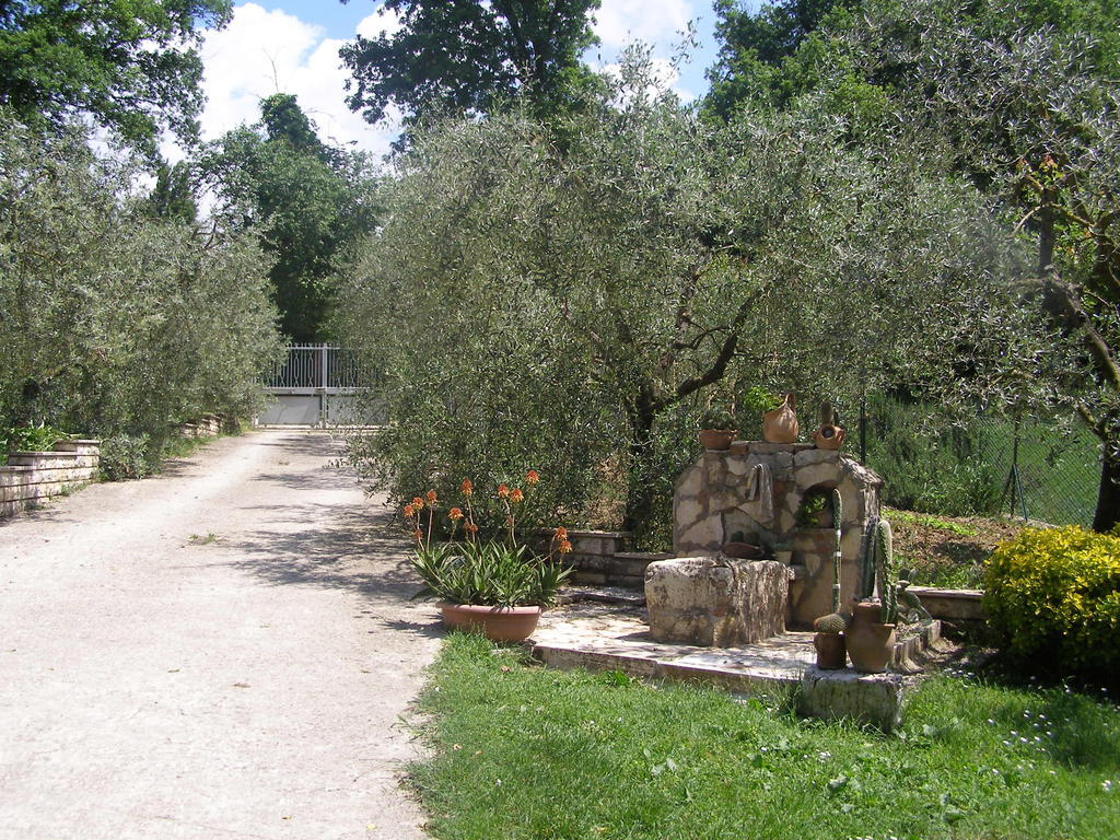 Bed And Breakfast Casale Isorella San Gemini Exterior photo
